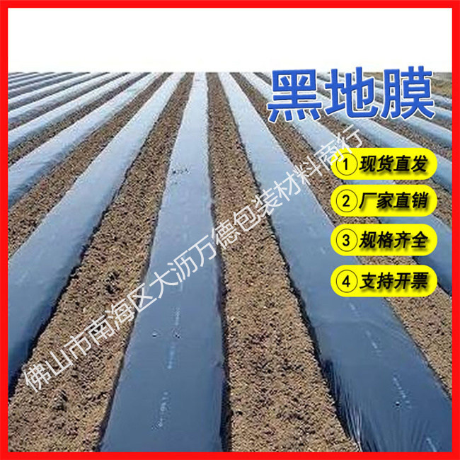 黑地膜10